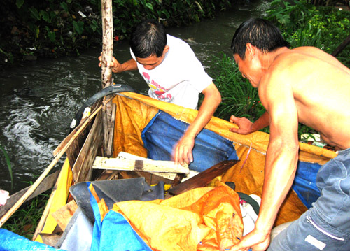 chuột,[-]ô[-]nhiễm,[-]ô[-]nhiễm[-]môi[-]trường,[-]kênh[-]Tân[-]Trụ